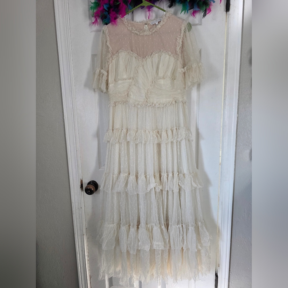 Ivy City Co Whimsical Dress